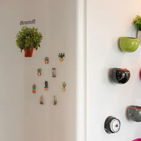 L'horizon Lumineux Vue Sur Au 5ième étage Avec Ascenseur El Havre